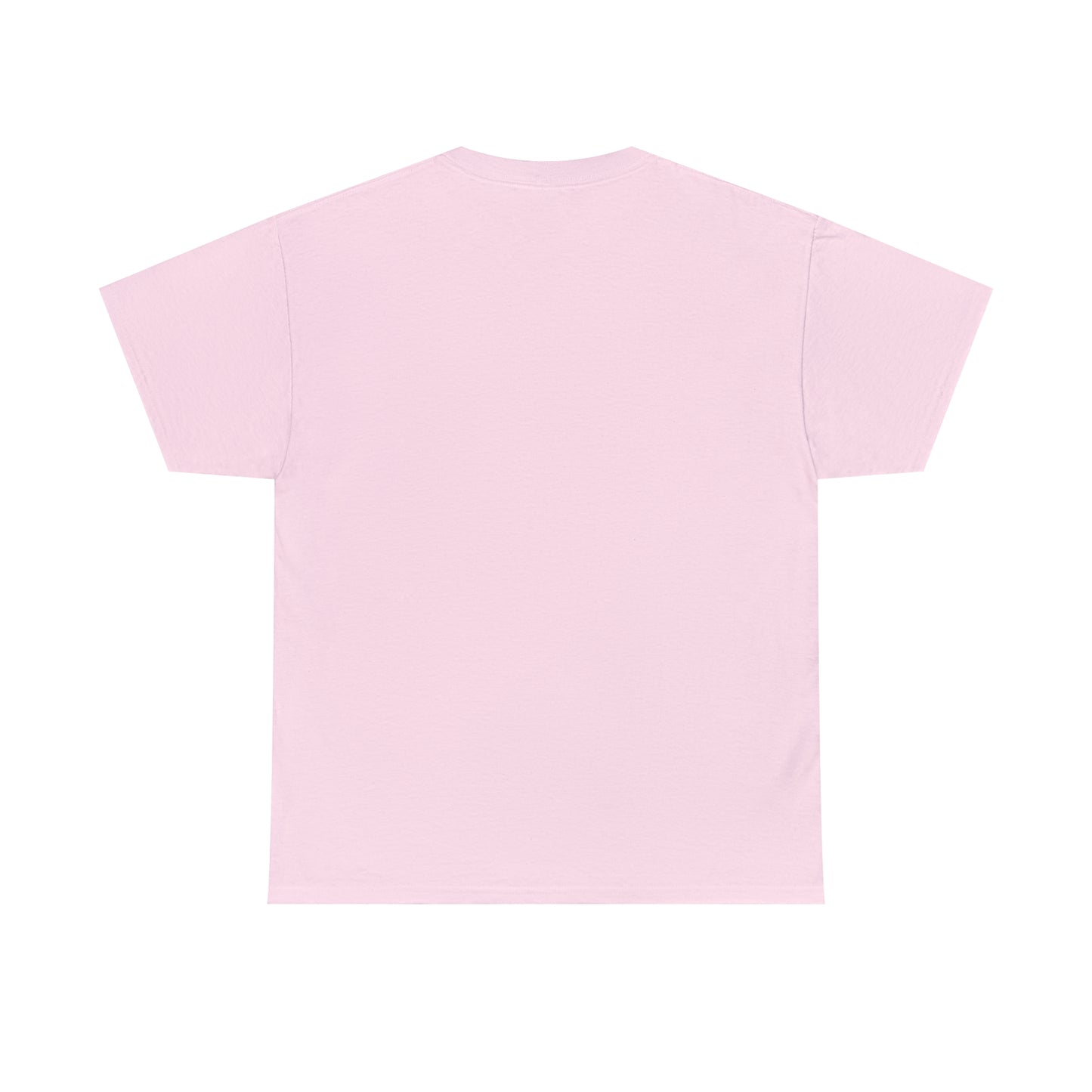 Biden Secrets The World May Never Know Unisex Heavy Cotton Tee