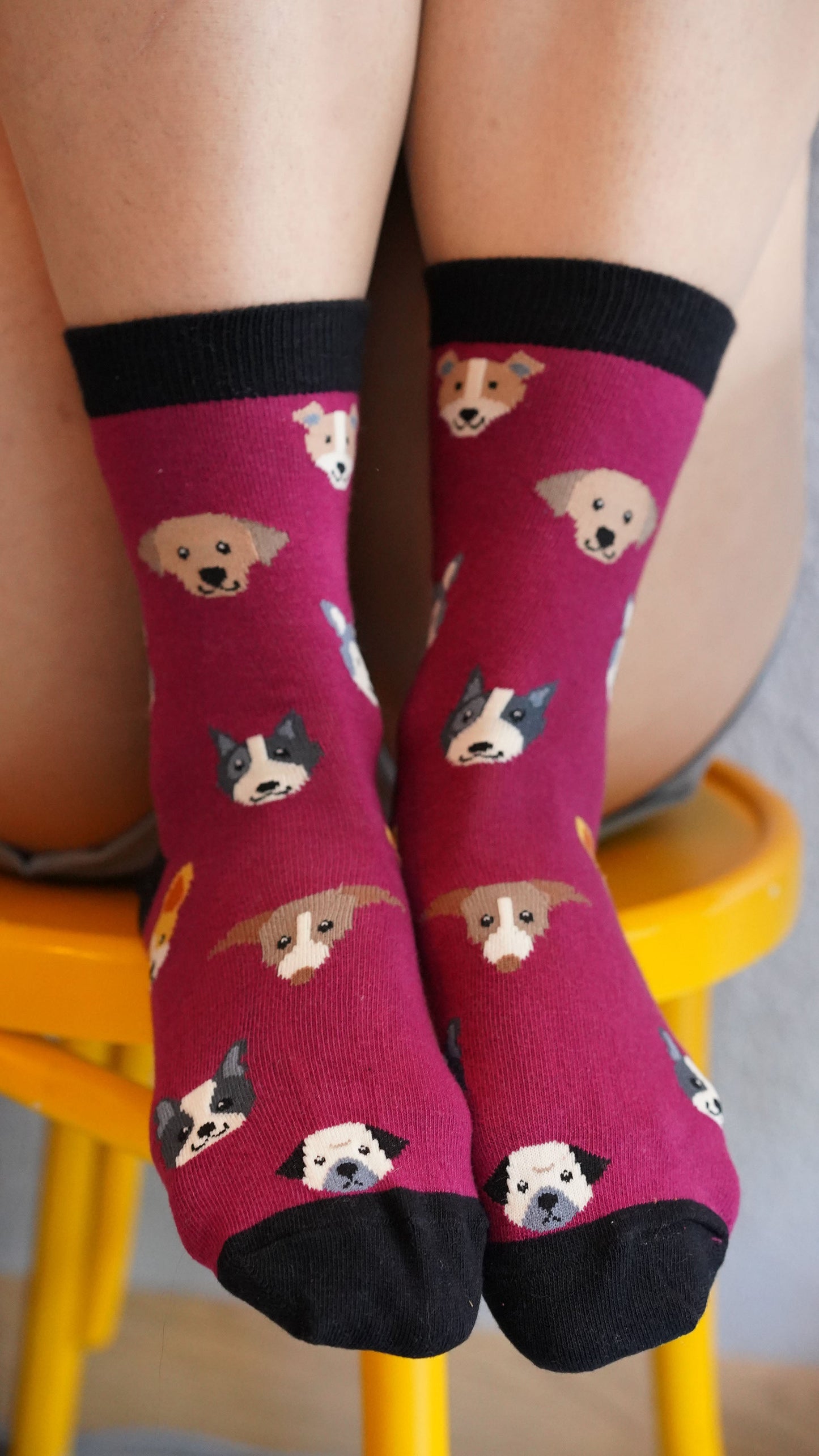 Women's Cute Dogs Socks Set 5 Pack