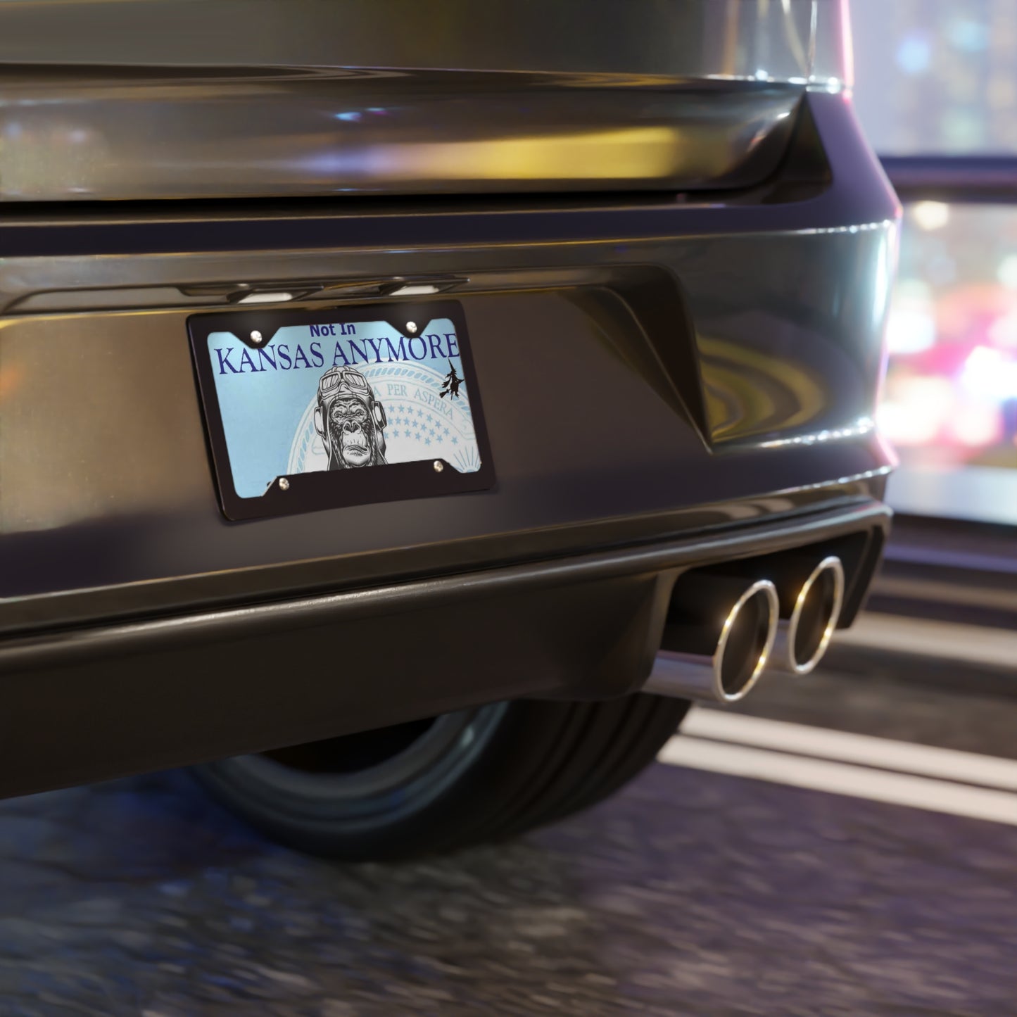 You're Not In Kansas Anymore Vanity License Plate