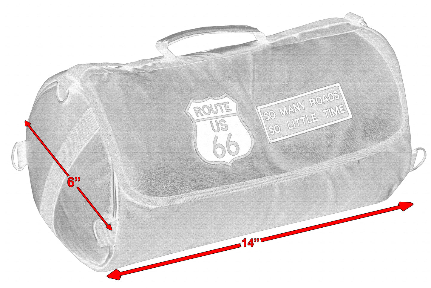 DS Three Piece Sissy Bar Back Pack