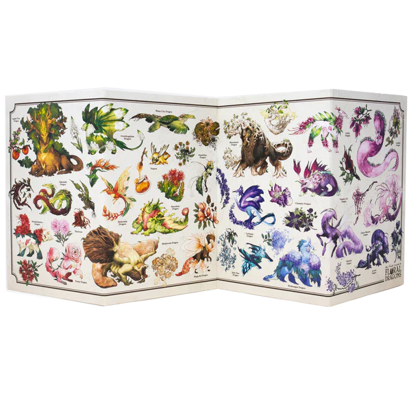 Foldout card with colorful illustrations of fantasy creatures on a white background