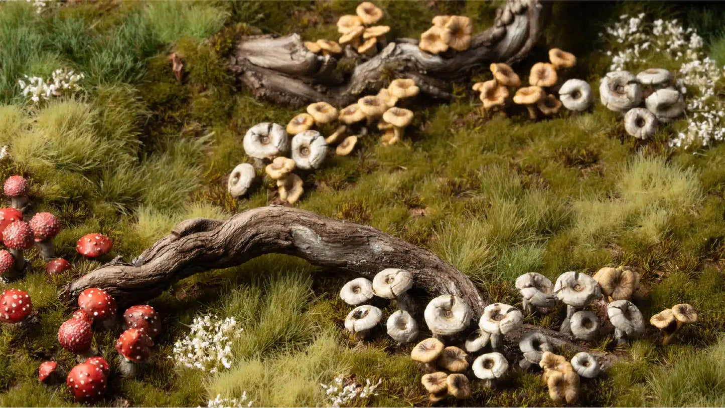 Mushrooms and a log on a grassy surface with flowers