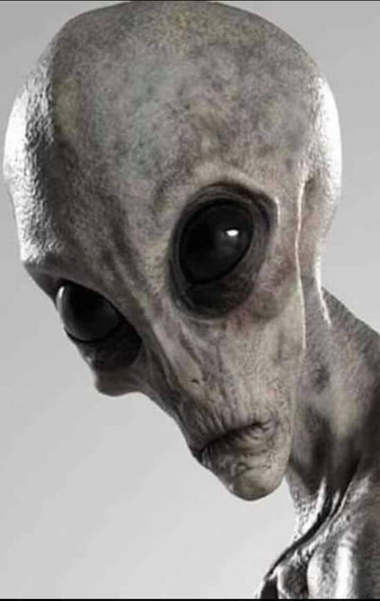 Area 51 New Mexico Novelty Metal License Plate Tag