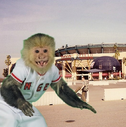 Angels Monkey Mascot