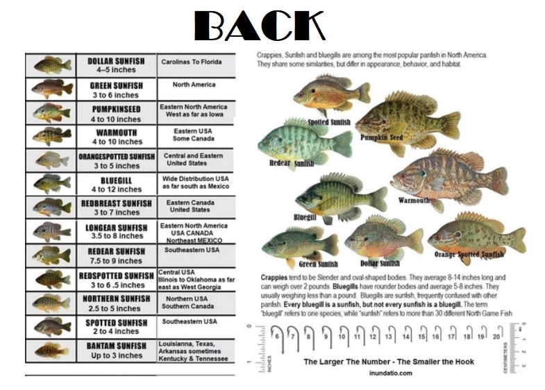 Common Fresh Water Bass and Sunfish of North America
