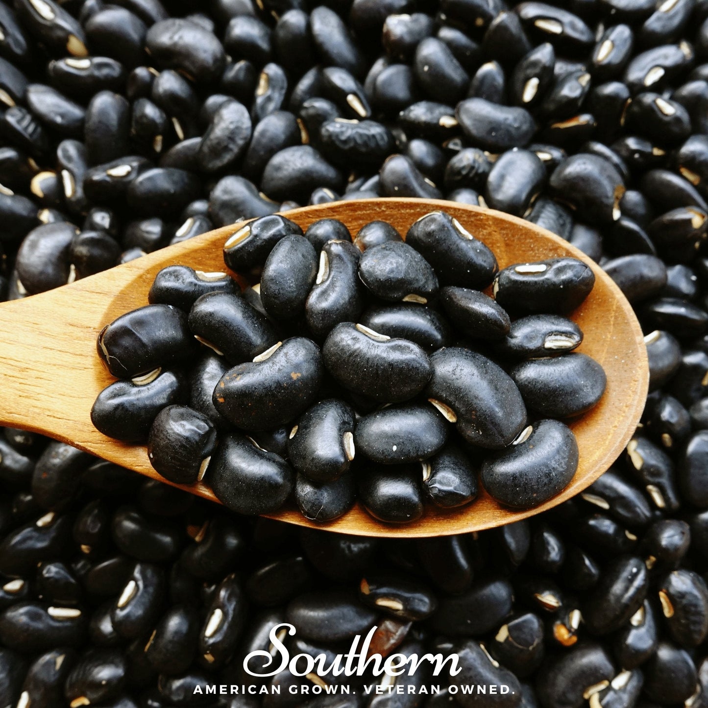 Wooden spoon filled with black beans surrounded by more black beans on a dark background, with 'Southern' brand name.