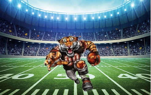 Go Bengals Fan License Plate Style Sign