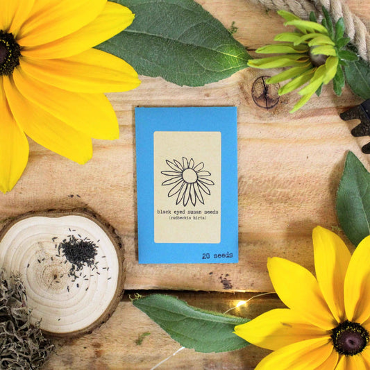 Seed packet with black-eyed Susan seeds on a wooden surface with flowers and leaves.