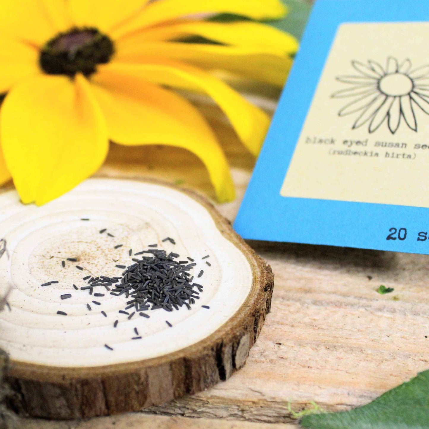 Black-eyed Susan seeds on a wooden surface with a yellow flower in the background