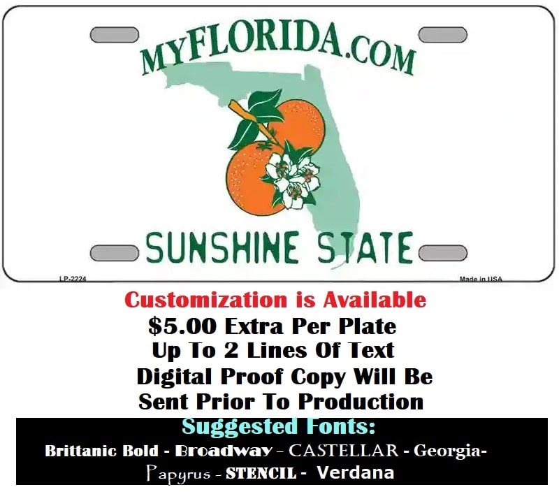Customizing Of Blank Florida License Plate