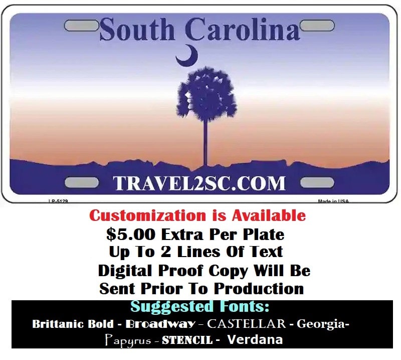 Customizing Instructions Blank South Carolina License Plate
