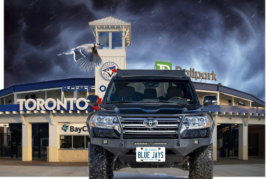 Blue Jays Plate Mounted