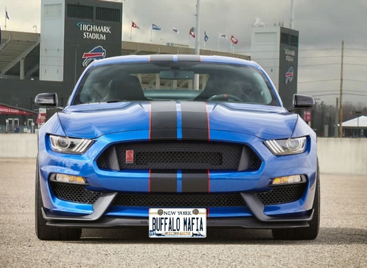 Buffalo Mafia NY Excelsior License Plate Mounted On Vehicle