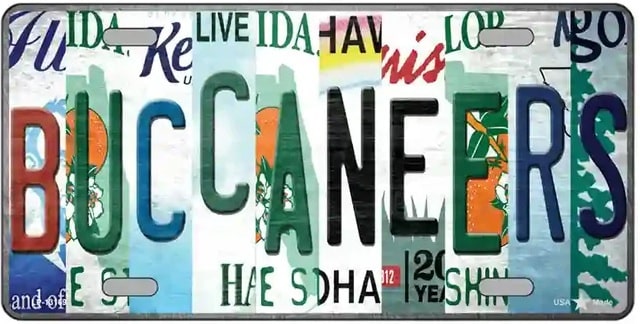Tampa Bay Buccaneers Folk Art Style License Plate