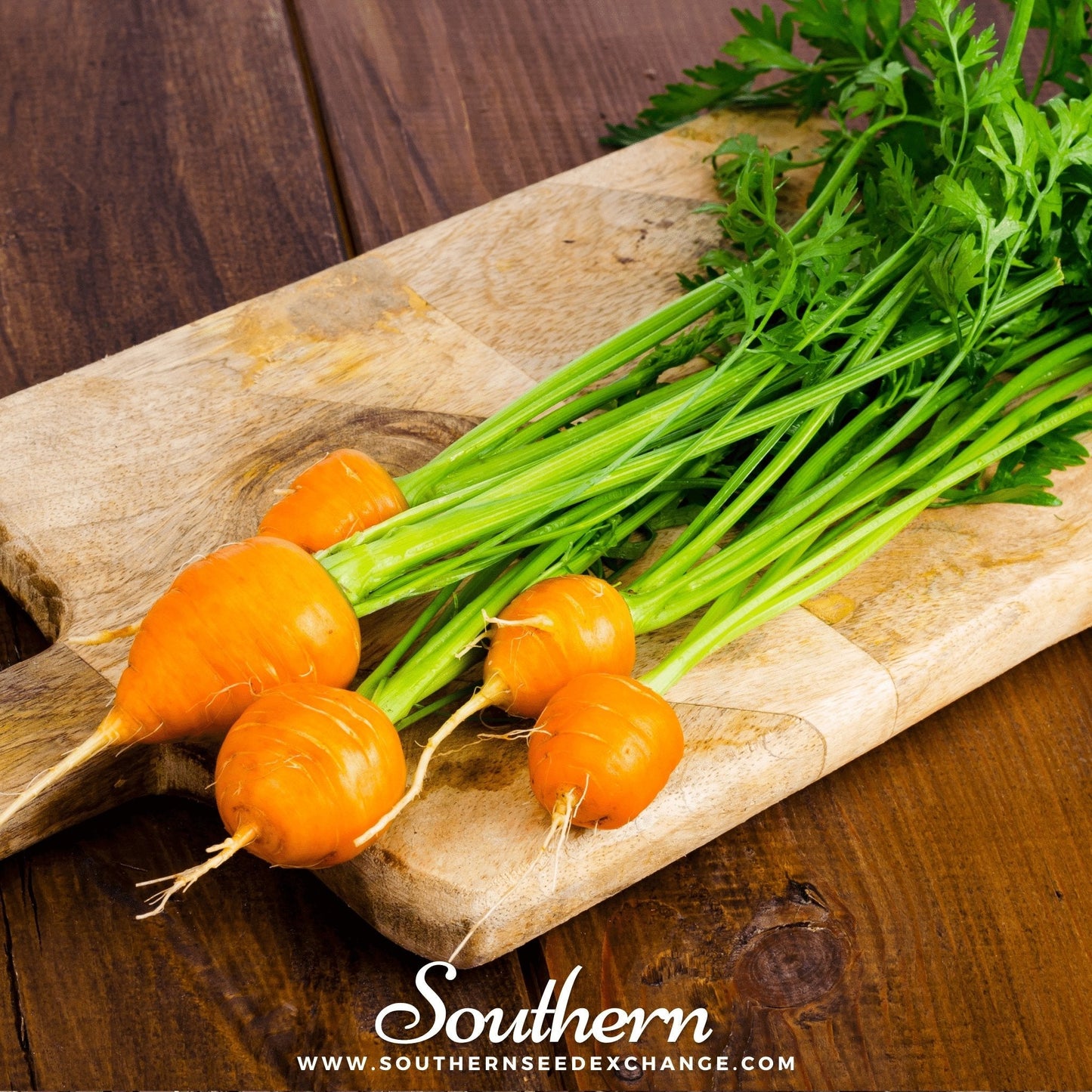 Bunch of carrots with green tops on a wooden cutting board, branded 'Southern Seed Exchange'.