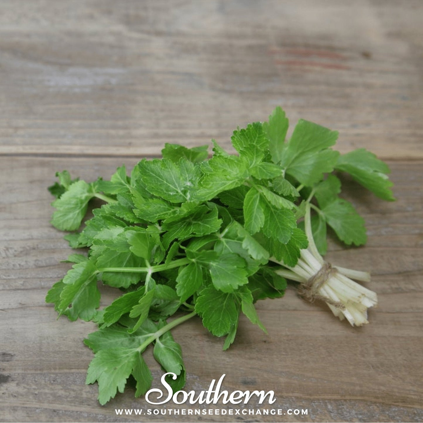 Bunch of fresh green celery leaves on a wooden surface with 'Southern' branding.