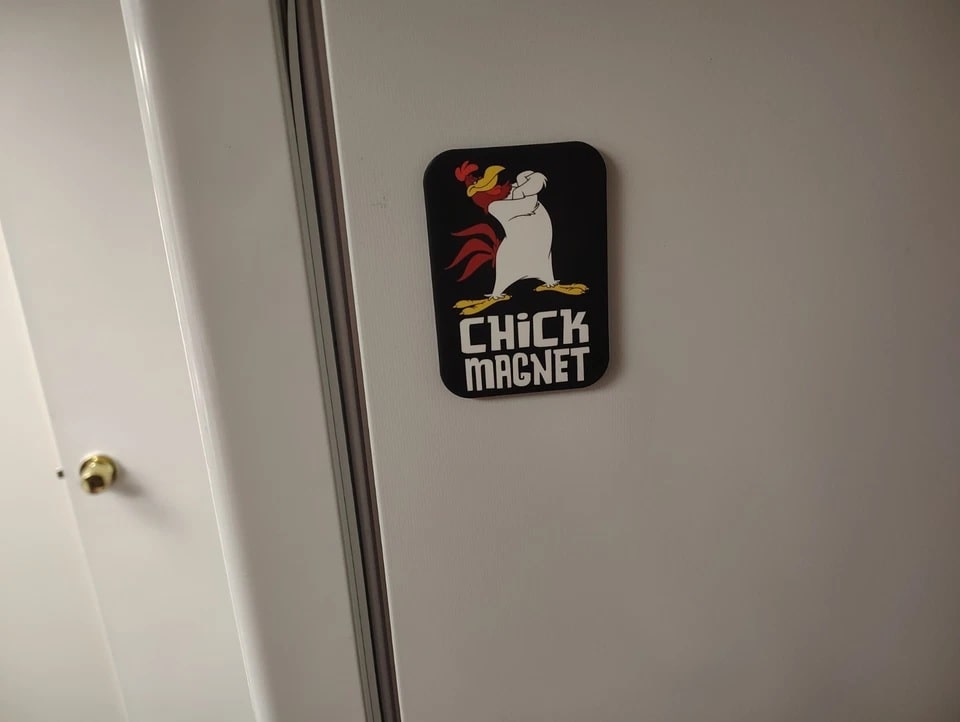 Fridge magnet with cartoon chicken design and 'Chick Magnet' text on a white refrigerator.
