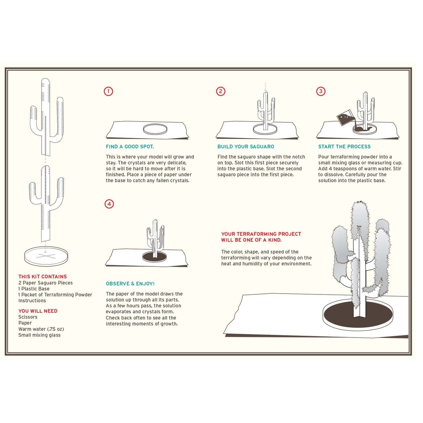 Instructions for a Crystal growing Saguaro Cactus with illustrations and text on a white background