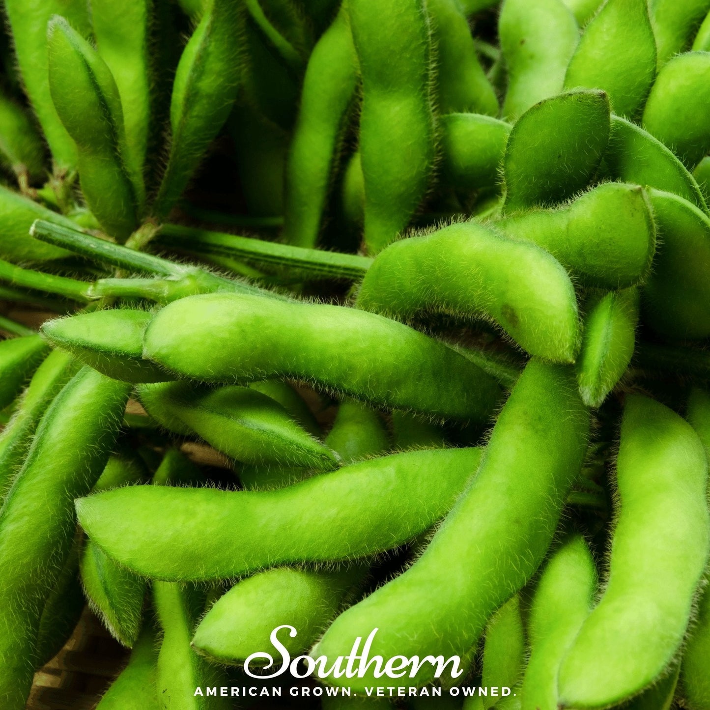 Close-up of green soybeans in pods with 'Southern' brand text.