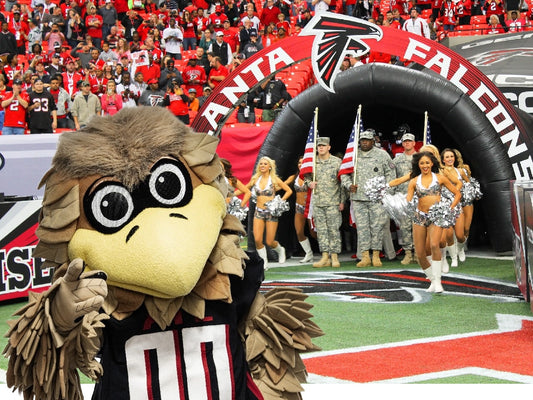 Atlanta Falcons Souvenir Fan License Plate