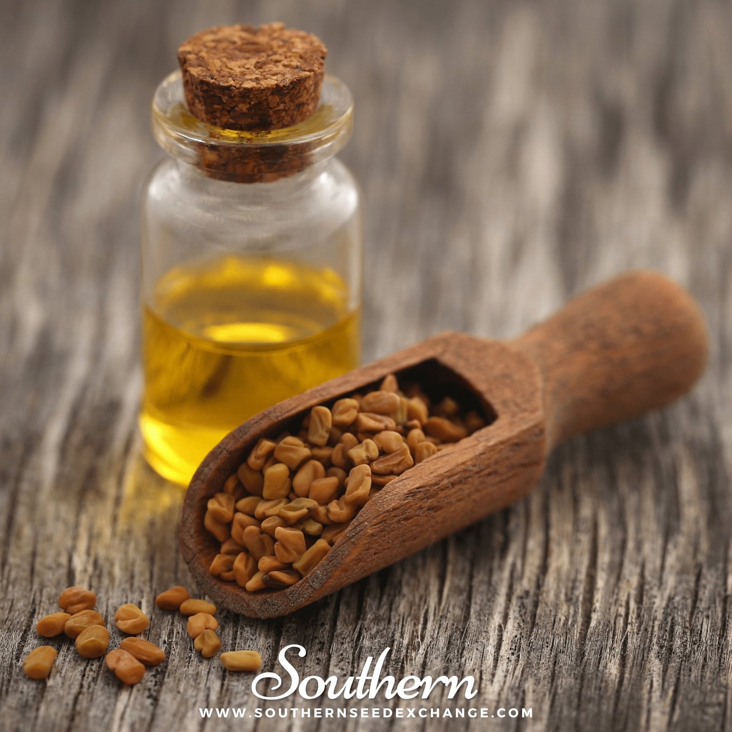 Fenugreek – 50 Seeds