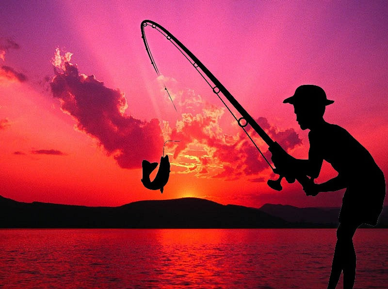 Context For Fish On Novelty License Plate