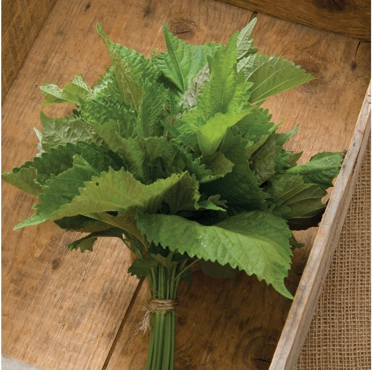 Bouquet of green leaves on a wooden surface