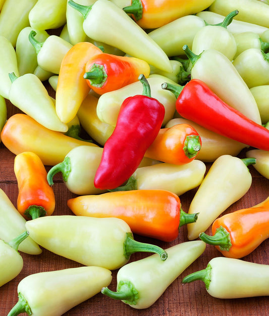 Heirloom Organic Santa Fe Hot Pepper Seeds (A.K.A. Guero Pepper, Yellow Guero Chili Pepper, Yellow Hot Chili Pepper)