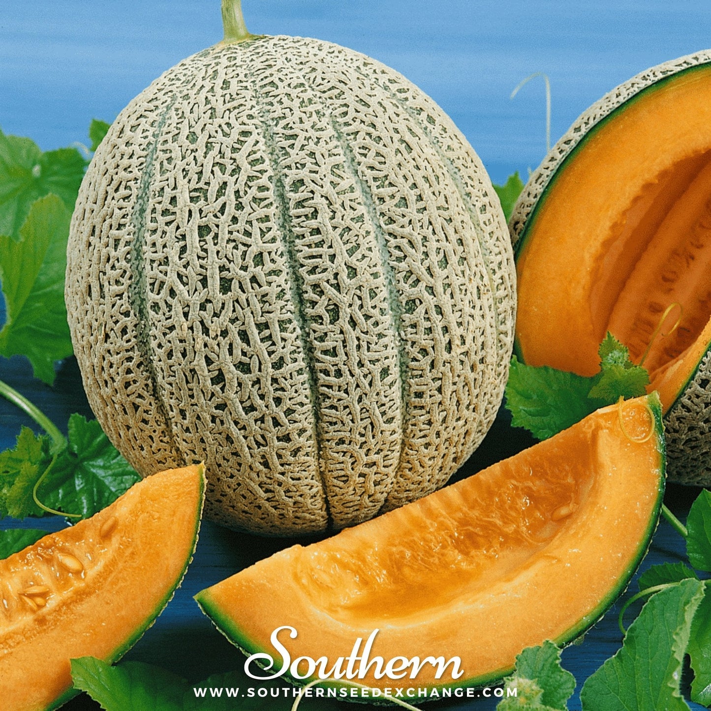Whole and sliced cantaloupe with green leaves on a blue background, featuring the brand 'Southern'.