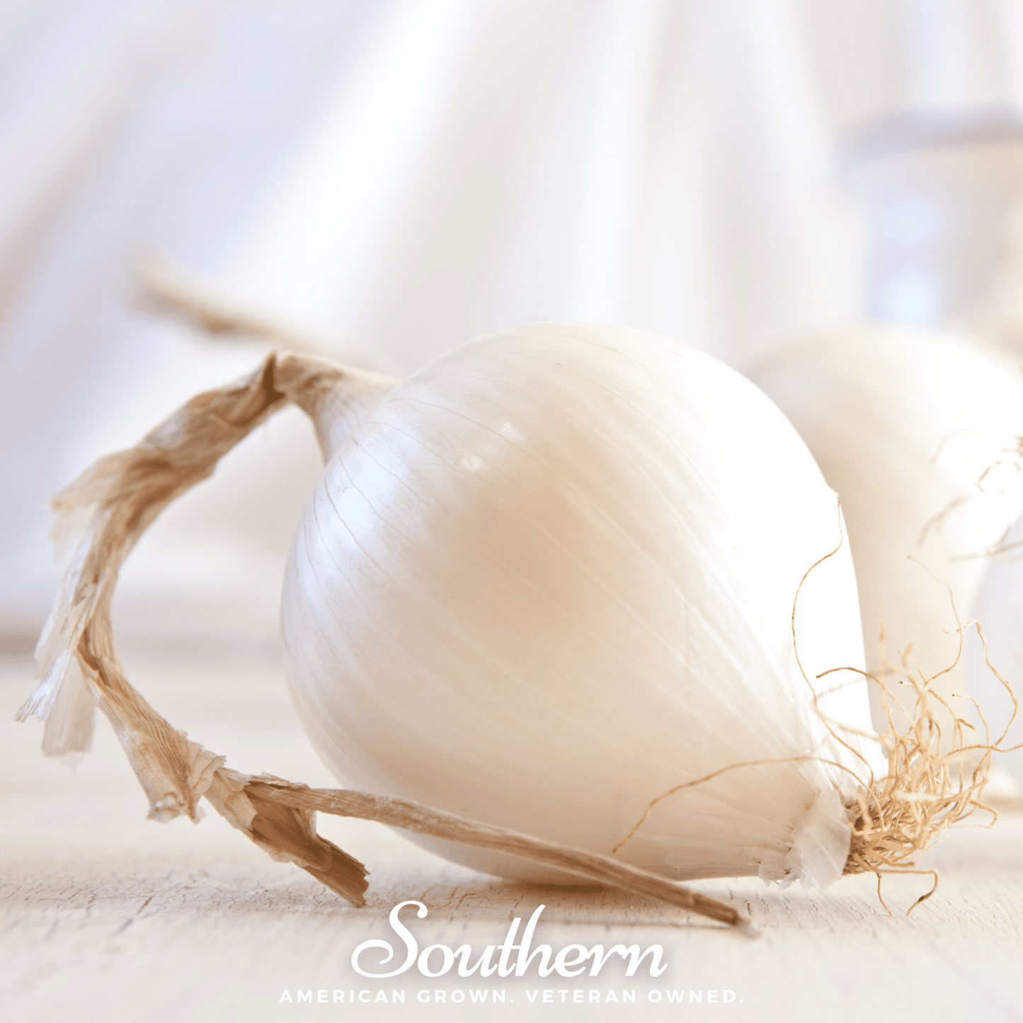 Spanish White Sweet Onion – 200 Seeds