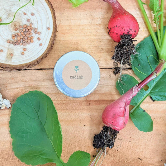 Pink radish with green leaves on a wooden surface next to a small round container labeled 'radish'.