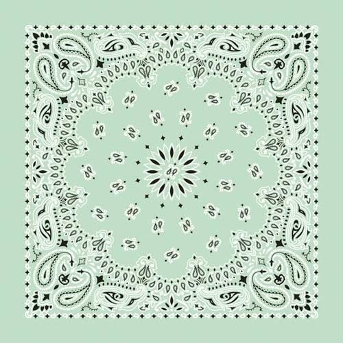NT4414 Bandana Paisley Mint