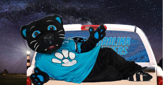 Carolina Panthers Mascot