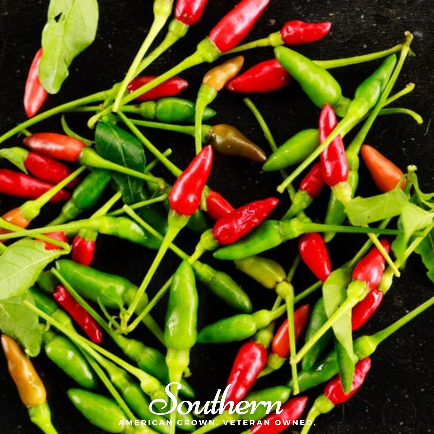 Red and green chili peppers on a black background with 'Southern' branding.