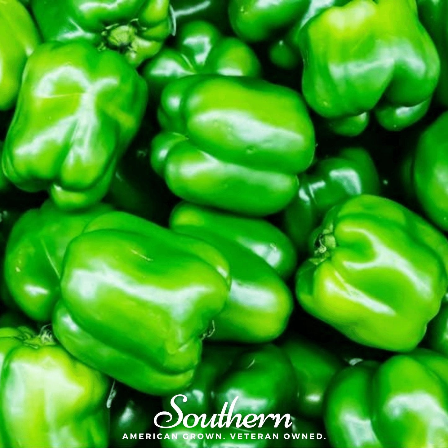 Close-up of green bell peppers with 'Southern' brand logo.