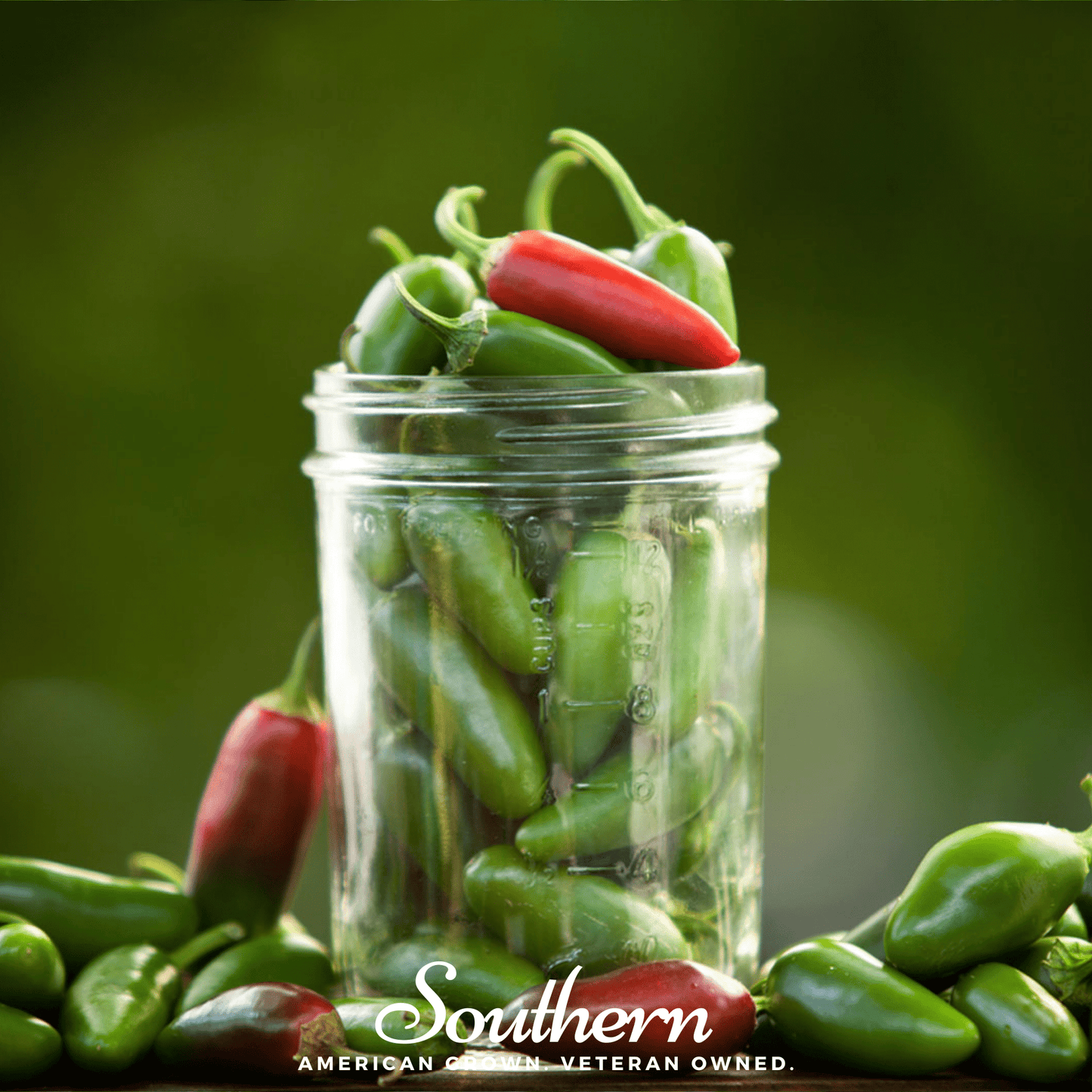 Glass jar filled with green and red Jalapeno peppers on a blurred green background