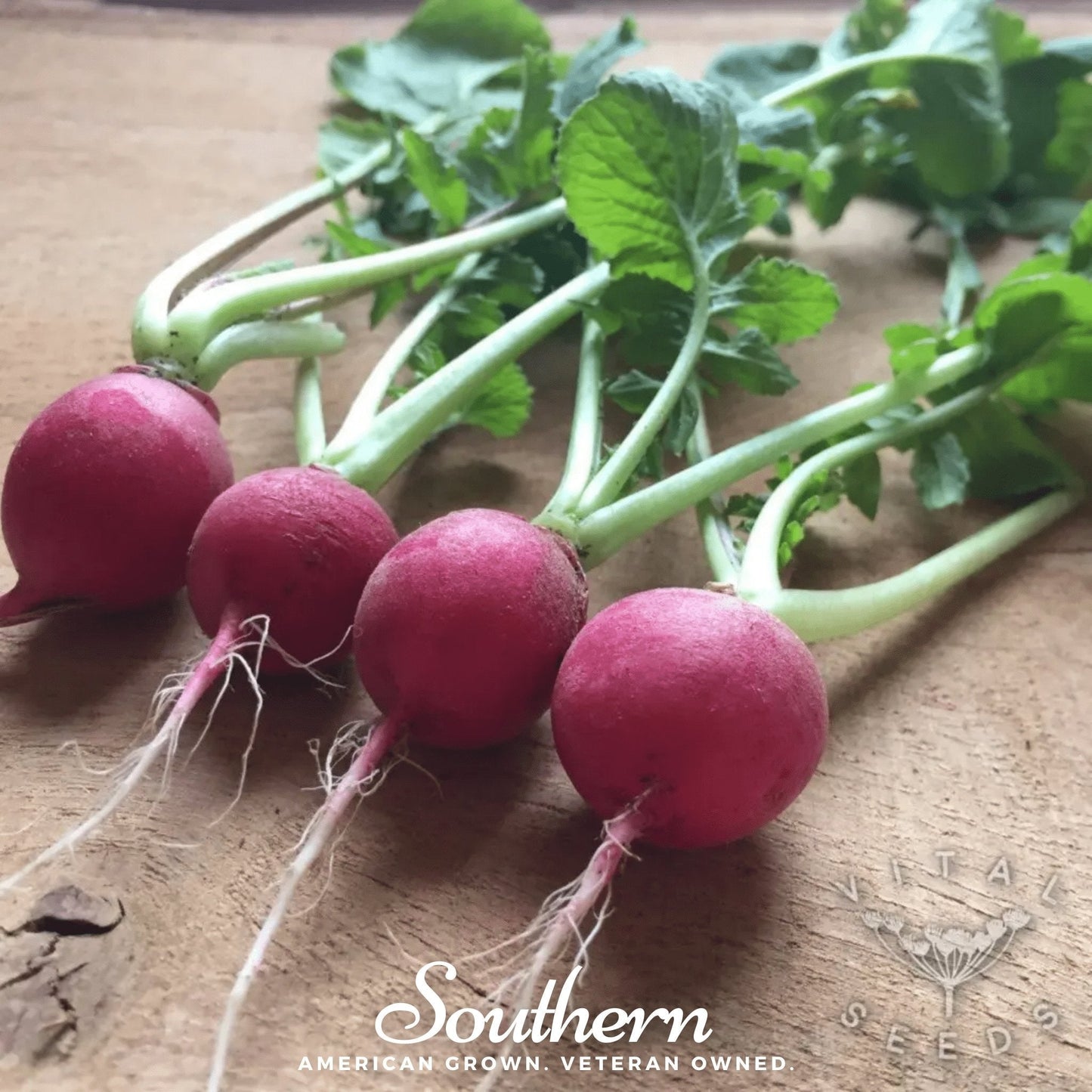 Red radishes with green leaves on a wooden surface, featuring 'Southern Seeds' branding.