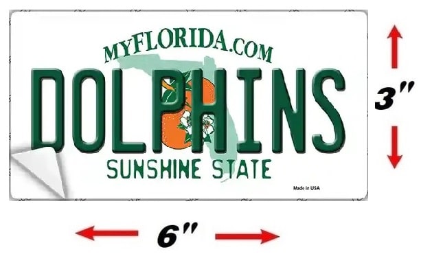 Size Of Dolphins Bumper Sticker Decal