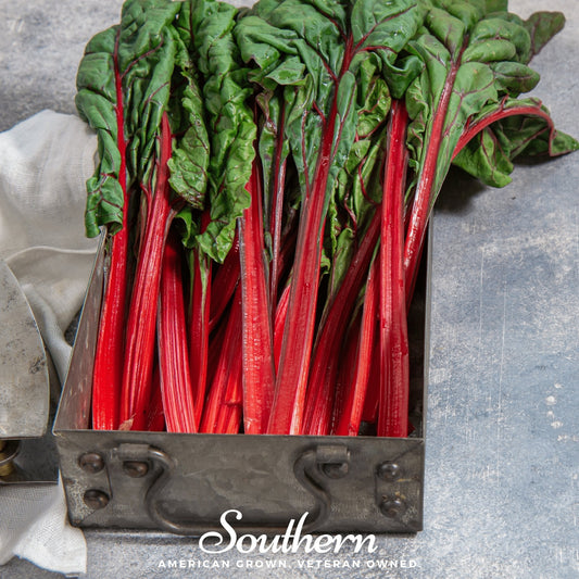Bunch of red swiss chard in a metal container on a gray surface with 'Southern' branding.