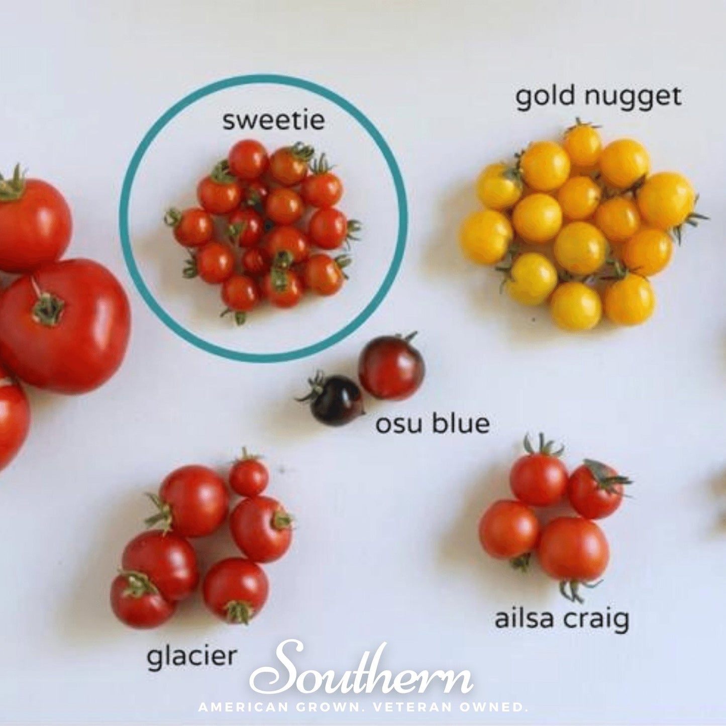 Types of tomatoes including sweetie, gold nugget, osu blue, and ailsa craig on a white background.