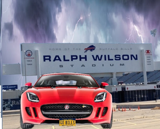 Go Bills License Plate Front Mounted