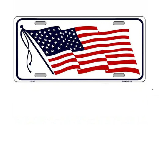 License plate with American flag design on a white background