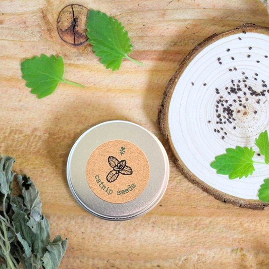 Ceramic container with 'Catnip Seeds' label on a wooden surface with catnip leaves.