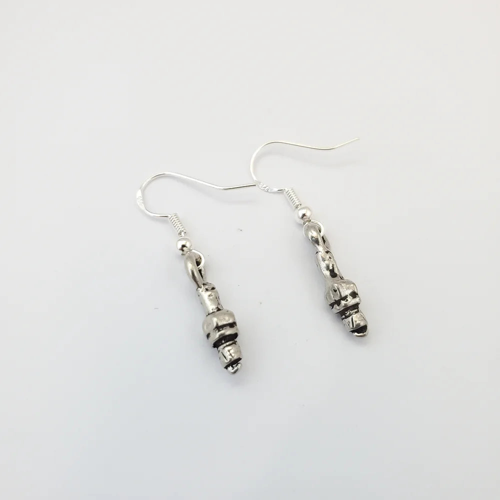 Pair of silver earrings on a white background