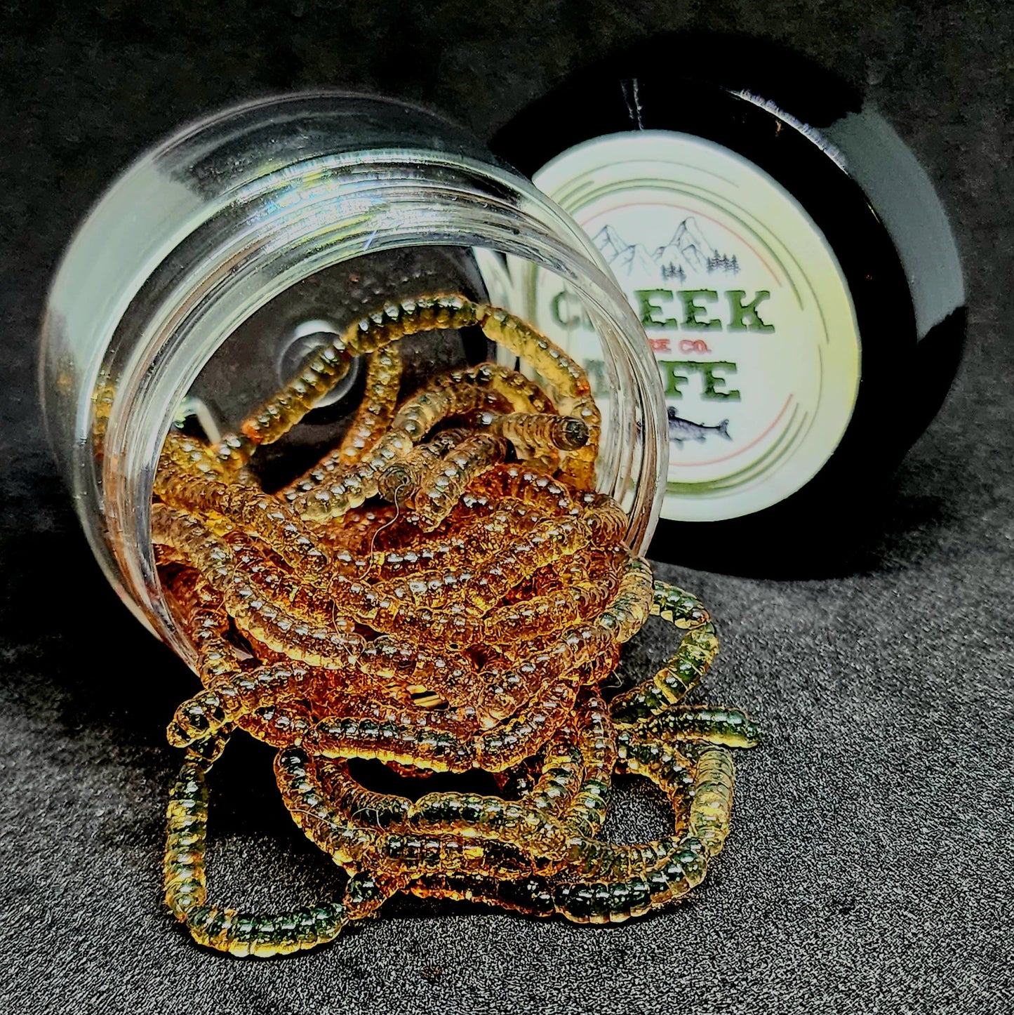 Micro Maggot Fly Larvae in a jar with creek life branding