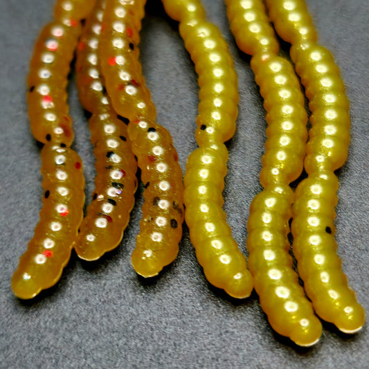 0.5" Inch Maggot Larvae "The Apple Maggot"