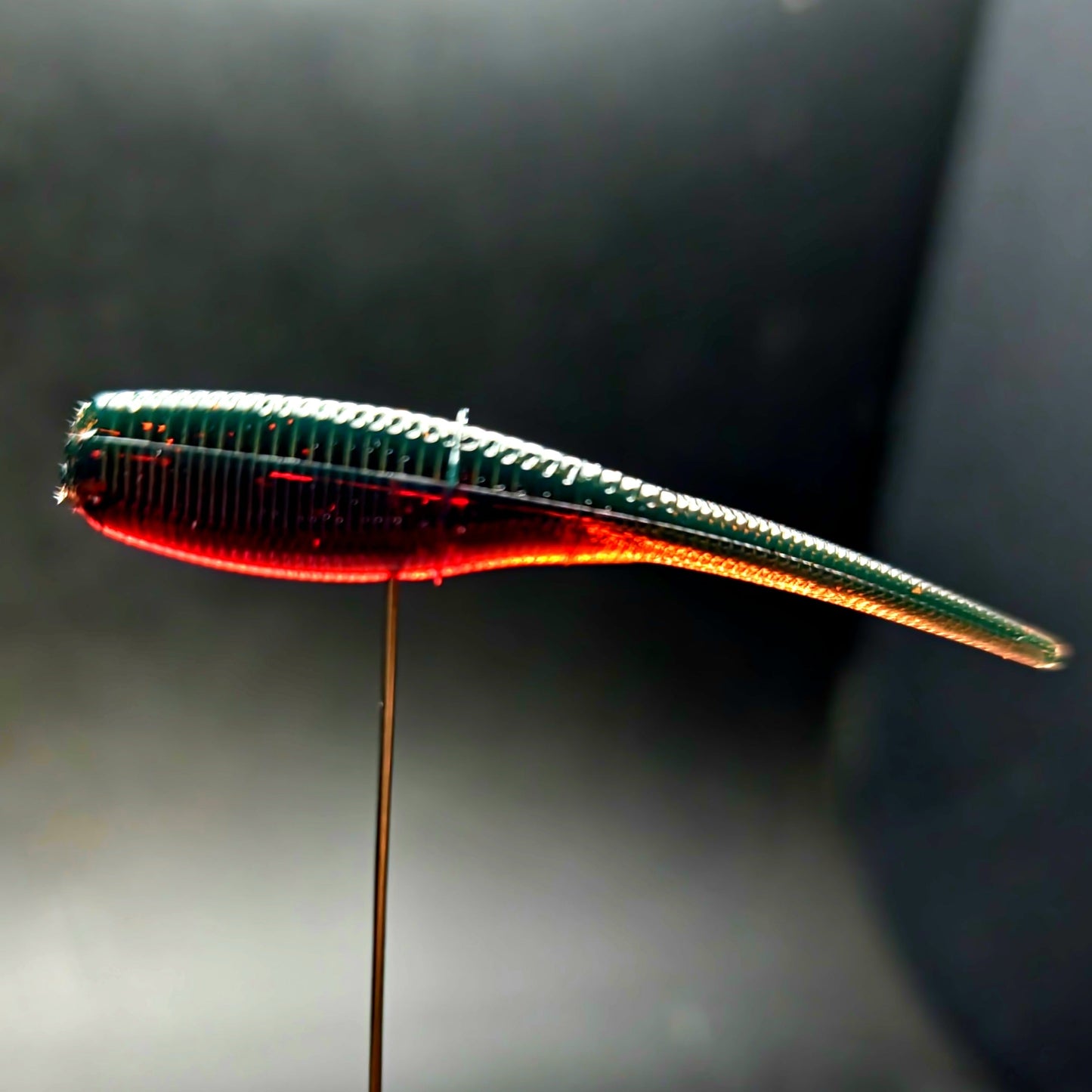 Fishing lure with red and green body on a dark background