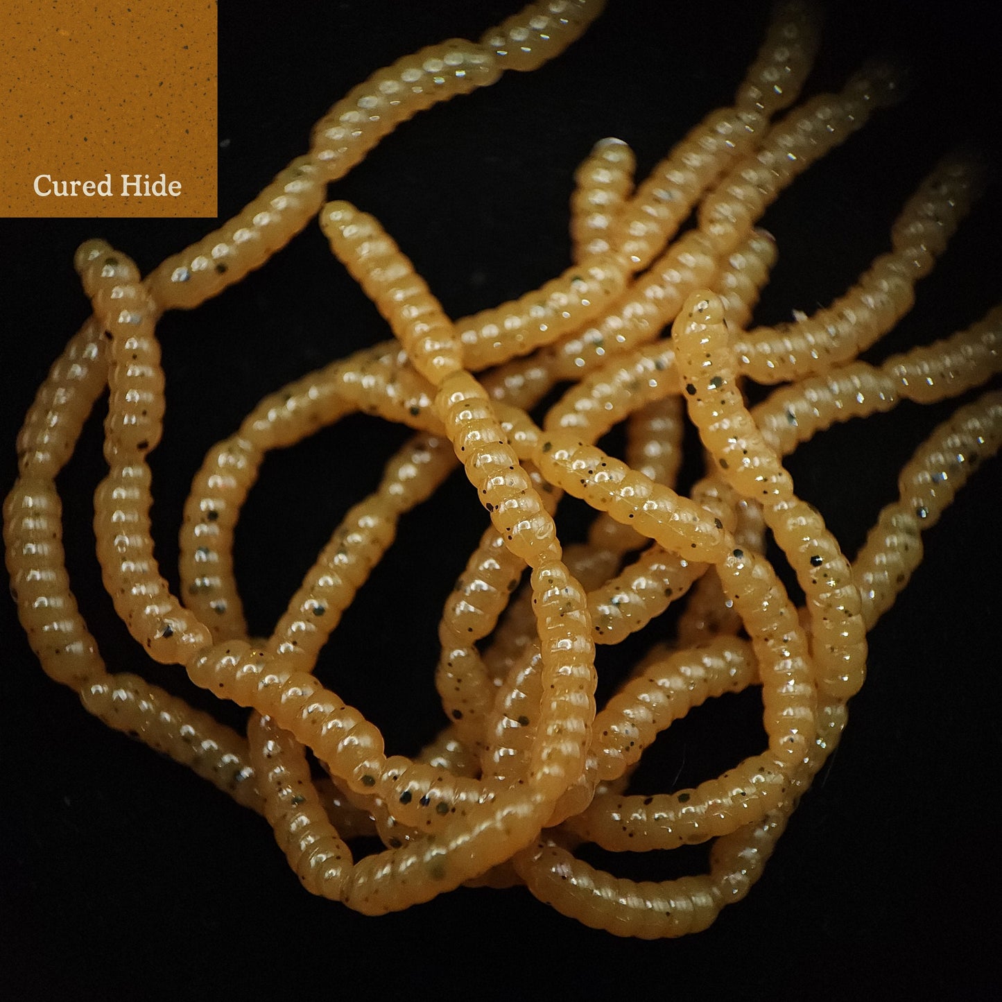 Micro Maggot Fly Larvae