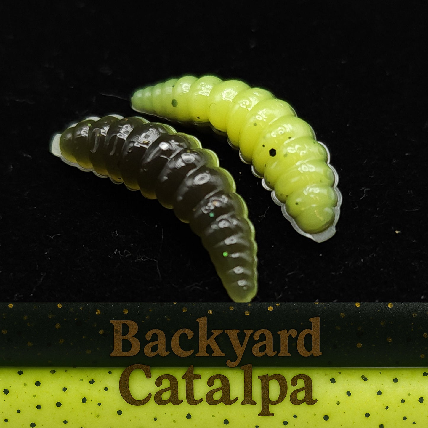 Two caterpillar  fishing lures on a black background with 'Backyard Catalpa' text.