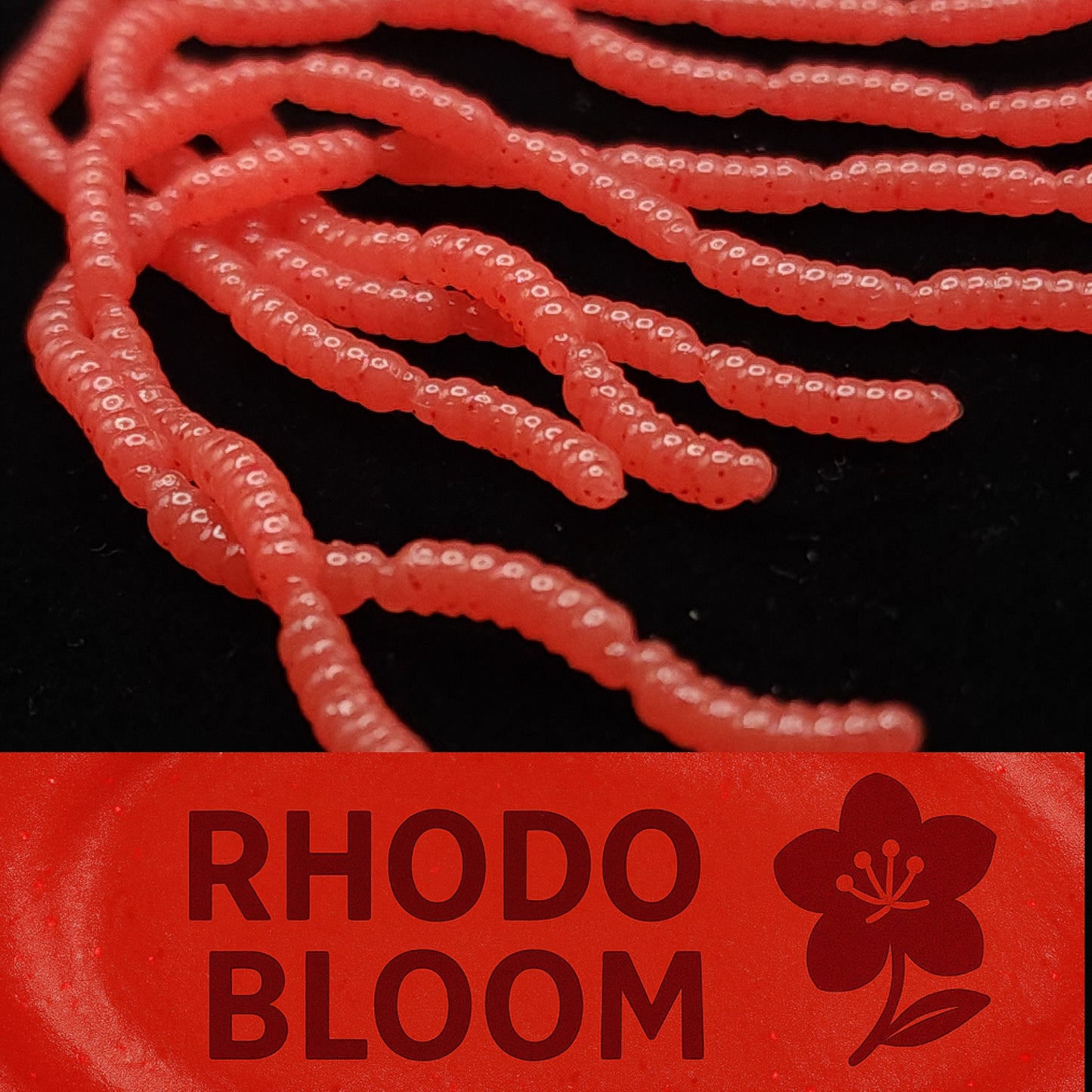 Red Micro Maggot Fly Larvae with 'Rhodo Bloom' branding on a black background